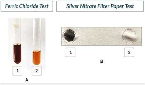 silver nitrate test positive result|(iii) Silver Nitrate Test: Test for SN1 .
